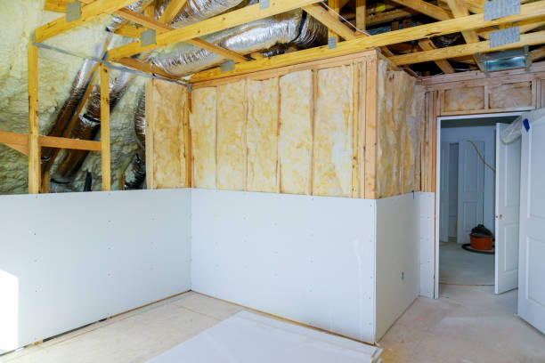 Best Insulation Maintenance and Repair in Heritage Lake, IL