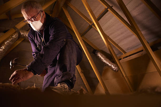 Best Insulation Installation Services in Heritage Lake, IL