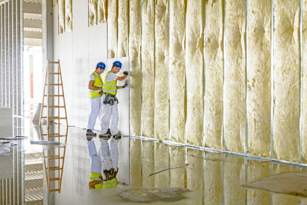 Best Residential Insulation in Heritage Lake, IL
